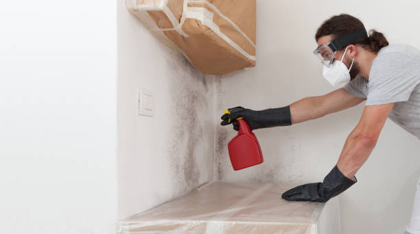 Professional Bathroom Mold Removal technician working in Smithsburg, MD
